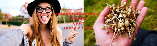 гашиш Гусев