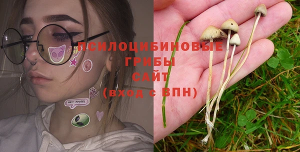 стафф Гусиноозёрск