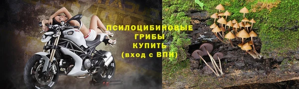 стафф Гусиноозёрск