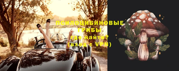 кокс Гусь-Хрустальный