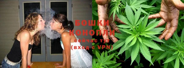мдпв Няндома