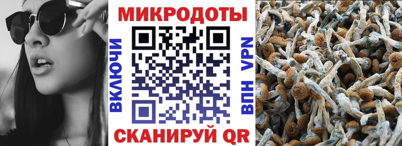 даркнет сайт  Меленки  Галлюциногенные грибы Cubensis 
